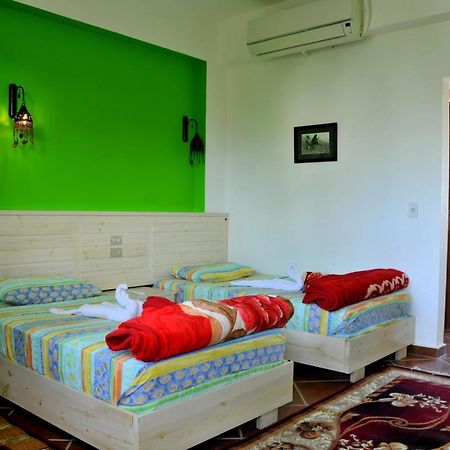 Dahab Divers Ngoại thất bức ảnh