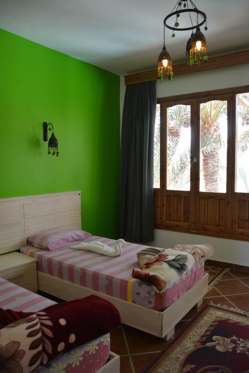 Dahab Divers Phòng bức ảnh
