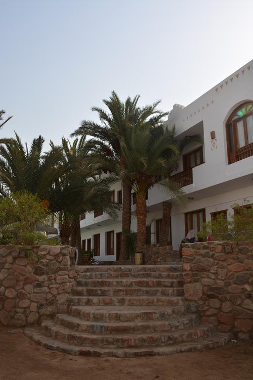 Dahab Divers Ngoại thất bức ảnh