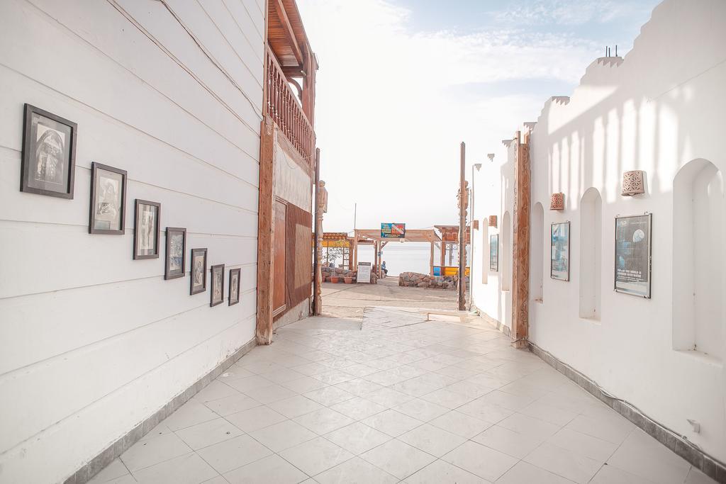 Dahab Divers Ngoại thất bức ảnh