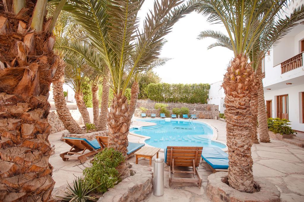 Dahab Divers Ngoại thất bức ảnh