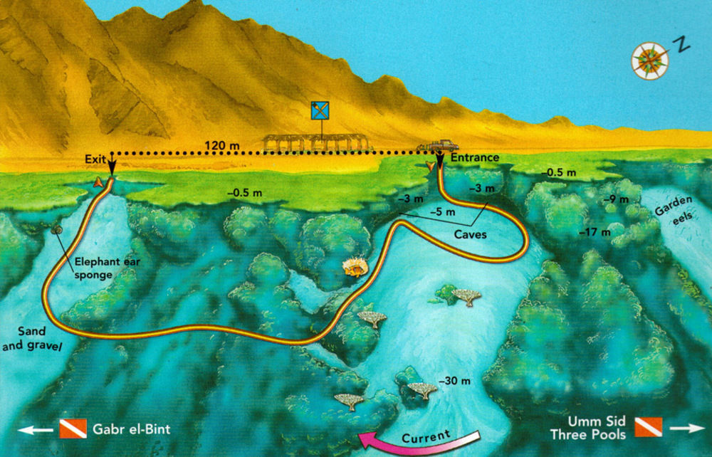 Dahab Divers Ngoại thất bức ảnh
