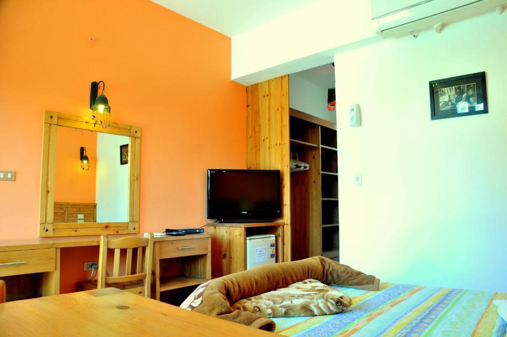 Dahab Divers Phòng bức ảnh