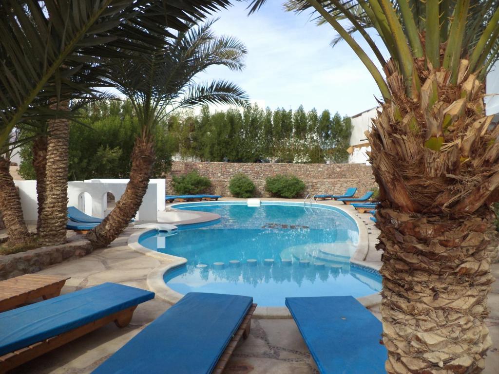 Dahab Divers Ngoại thất bức ảnh
