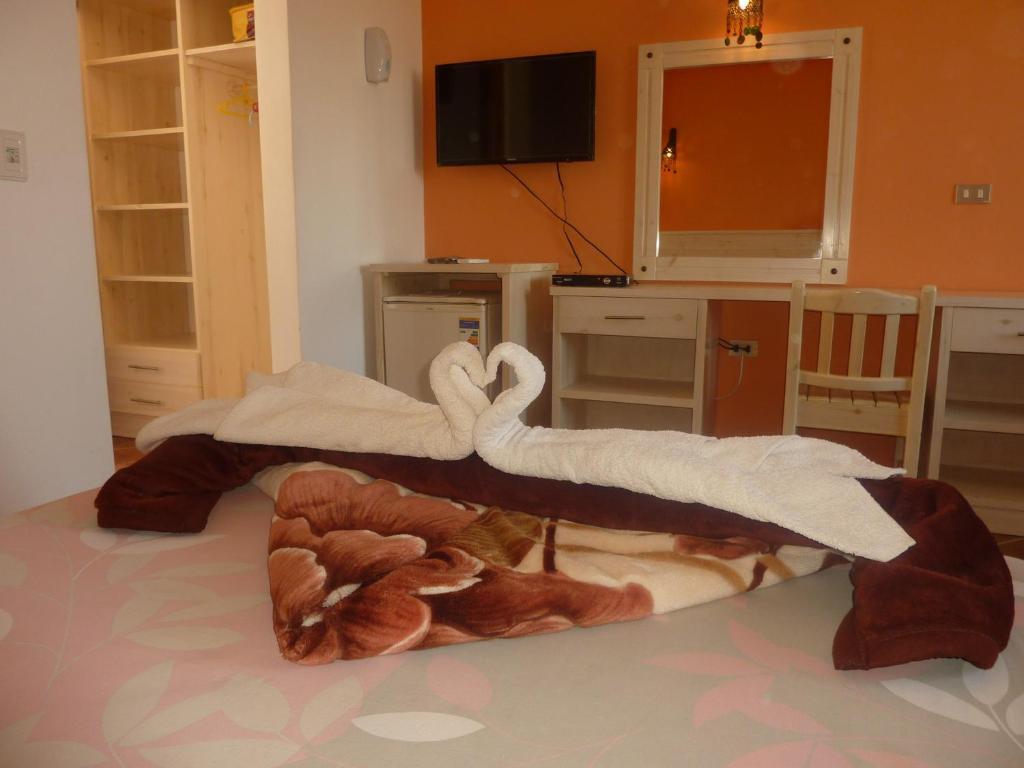 Dahab Divers Phòng bức ảnh