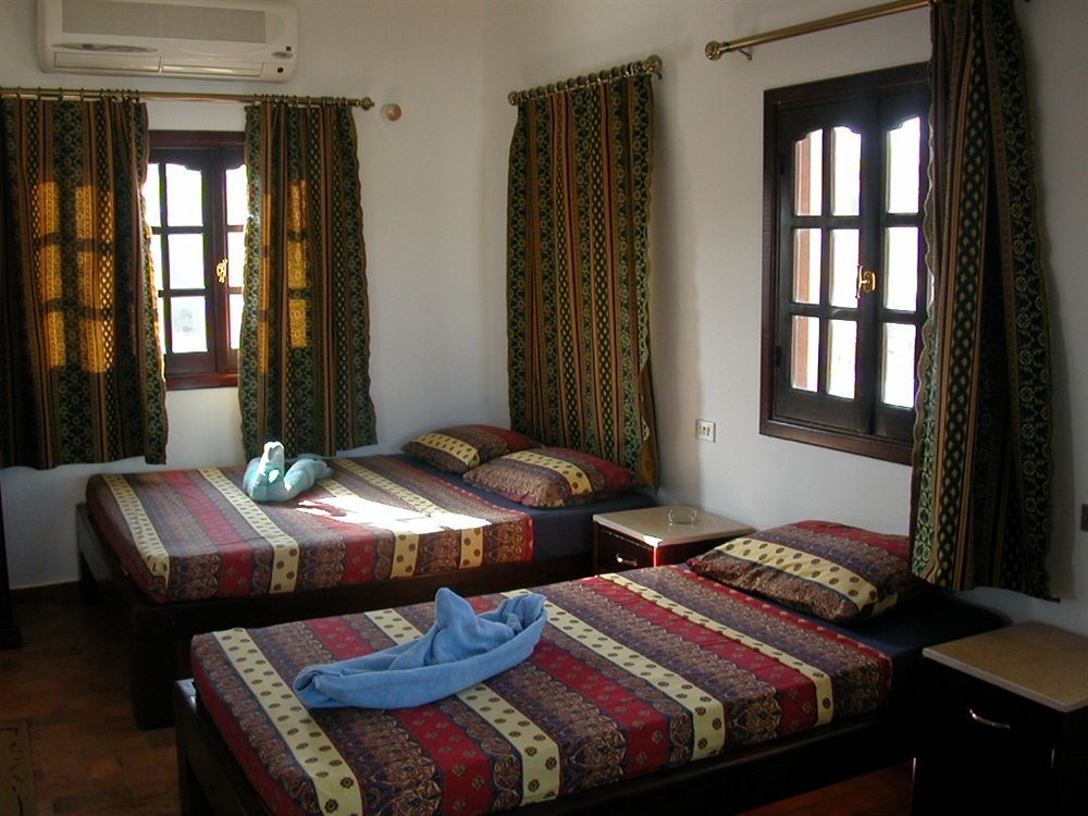 Dahab Divers Ngoại thất bức ảnh