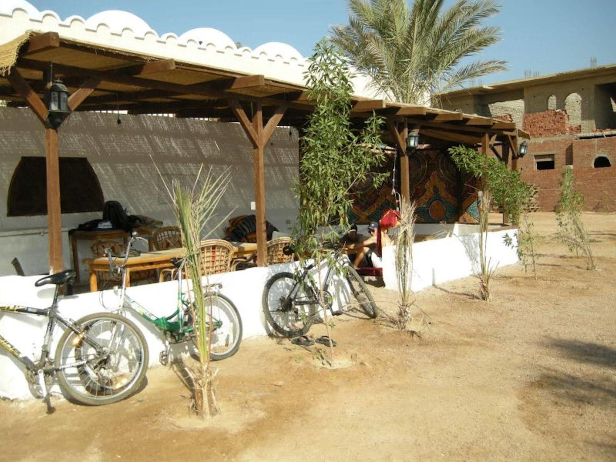 Dahab Divers Ngoại thất bức ảnh