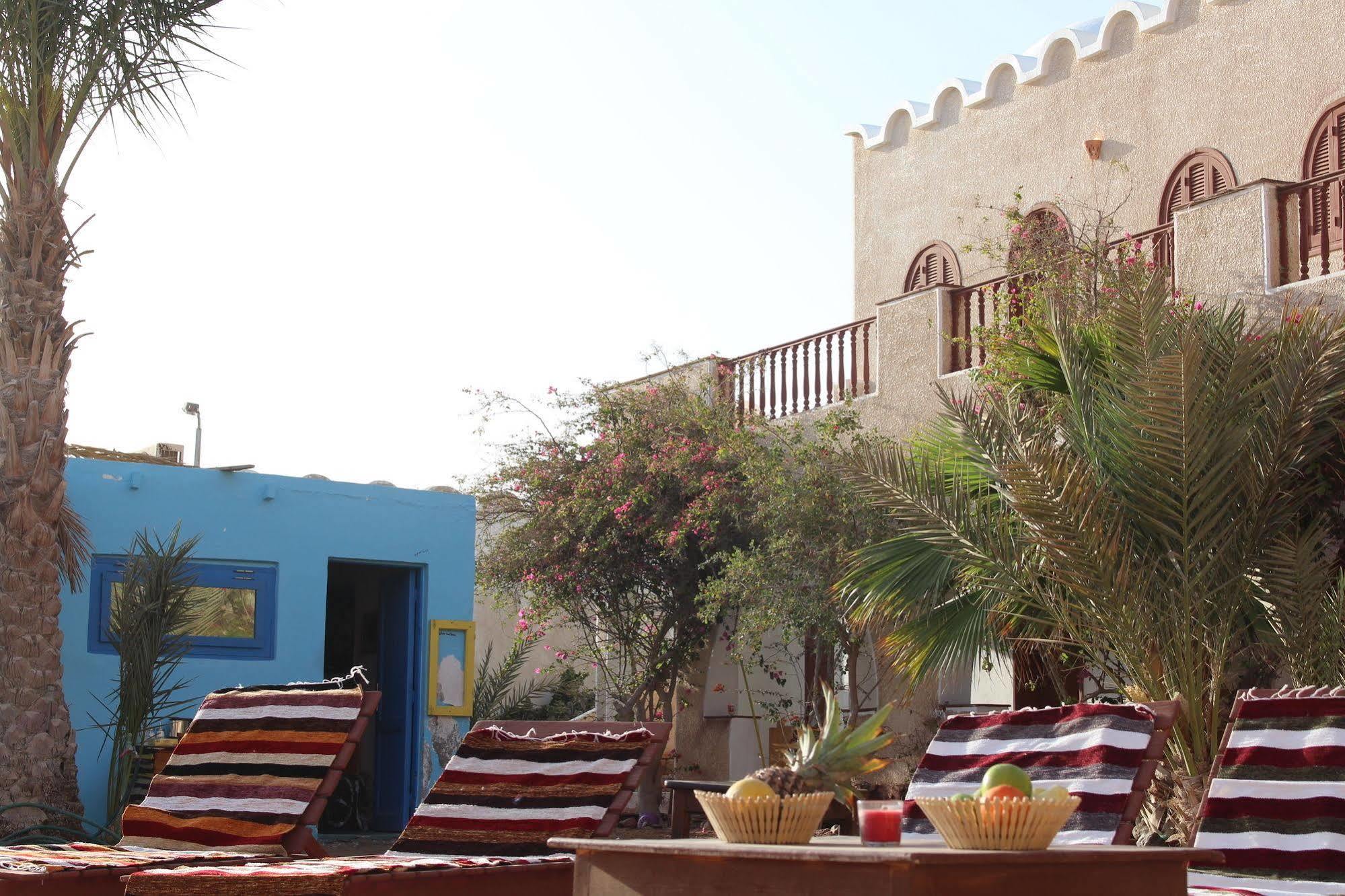 Dahab Divers Ngoại thất bức ảnh