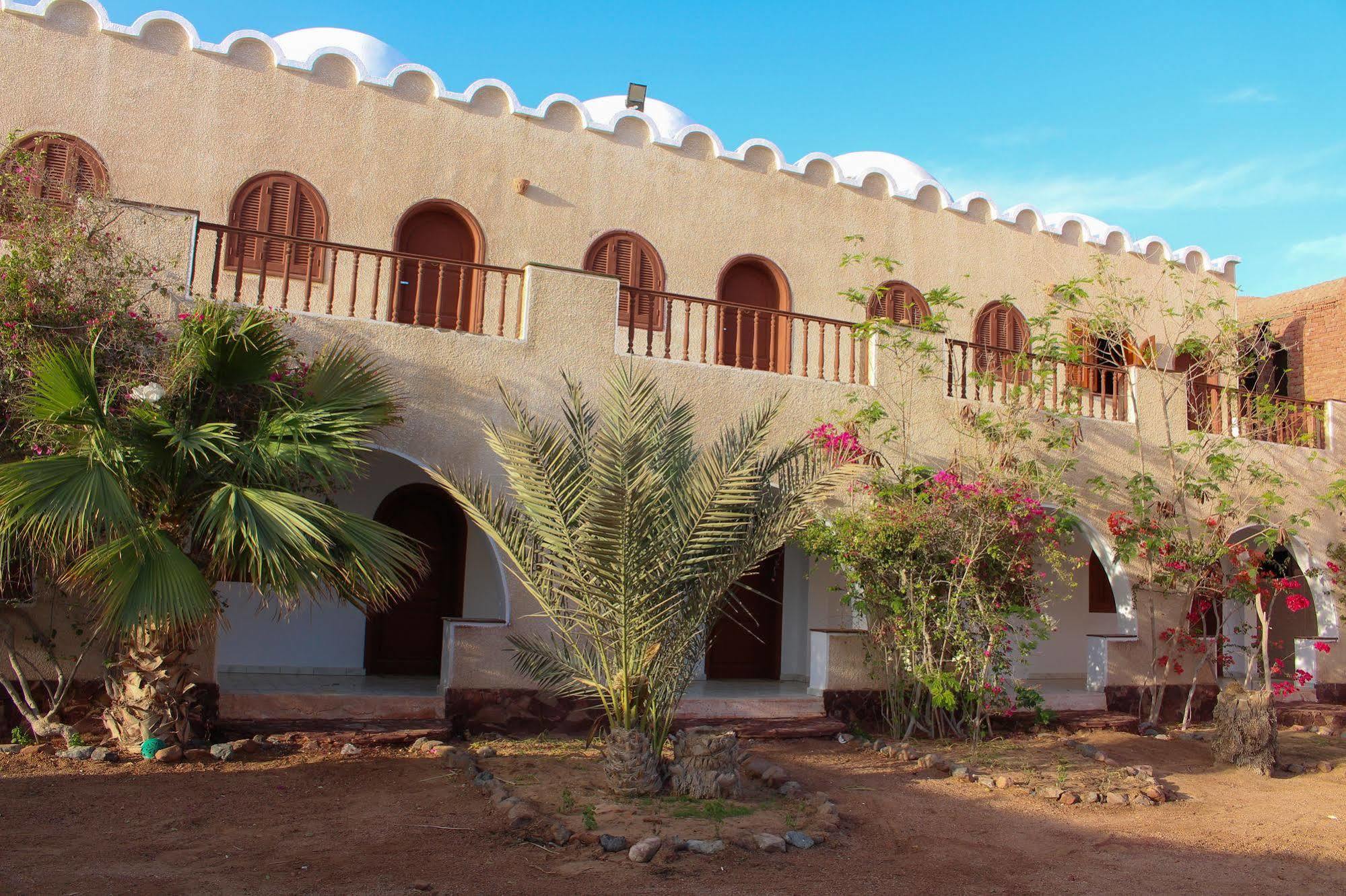 Dahab Divers Ngoại thất bức ảnh