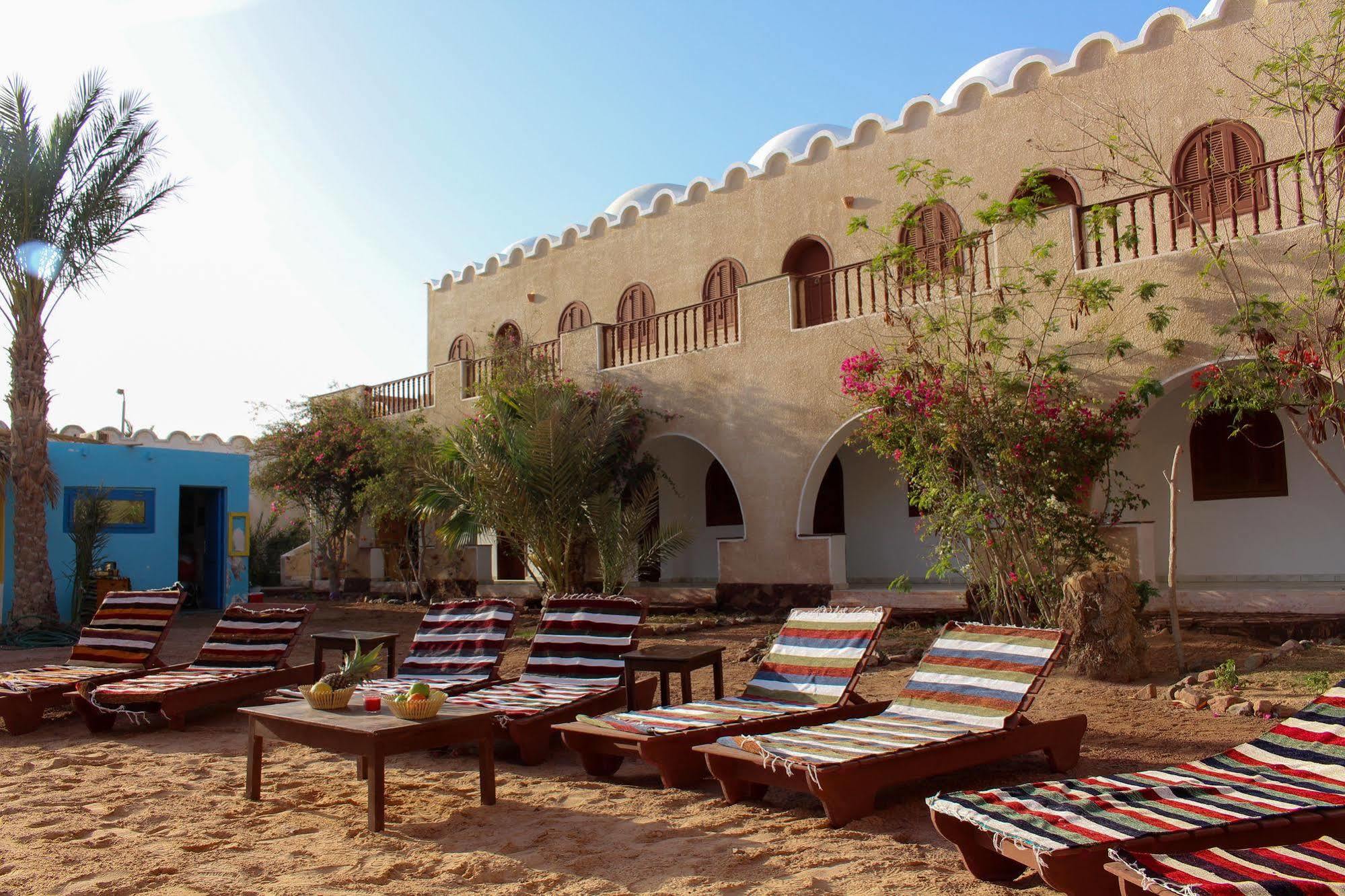 Dahab Divers Ngoại thất bức ảnh