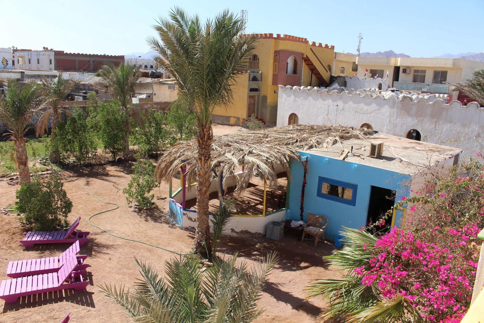 Dahab Divers Ngoại thất bức ảnh
