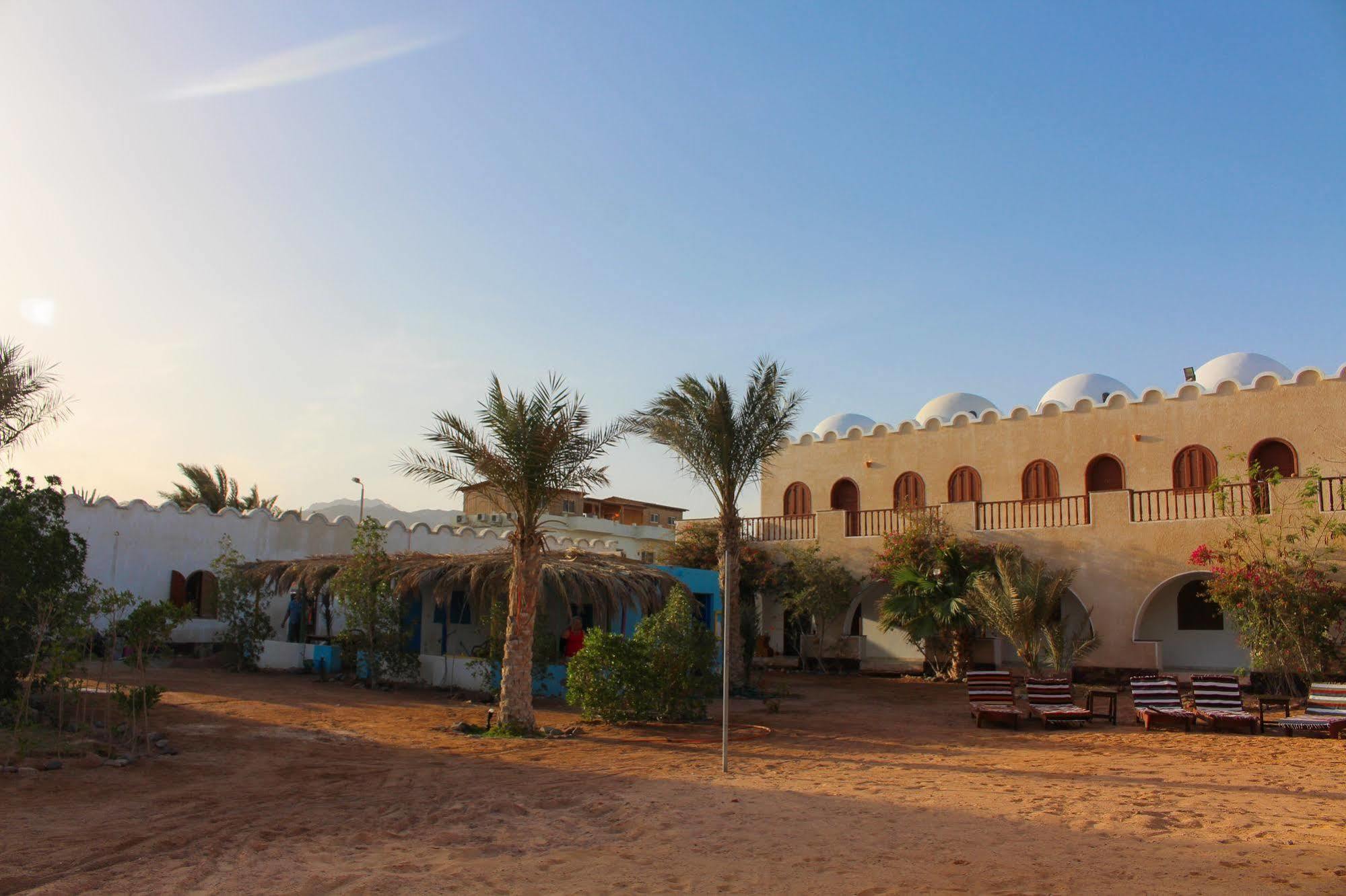 Dahab Divers Ngoại thất bức ảnh