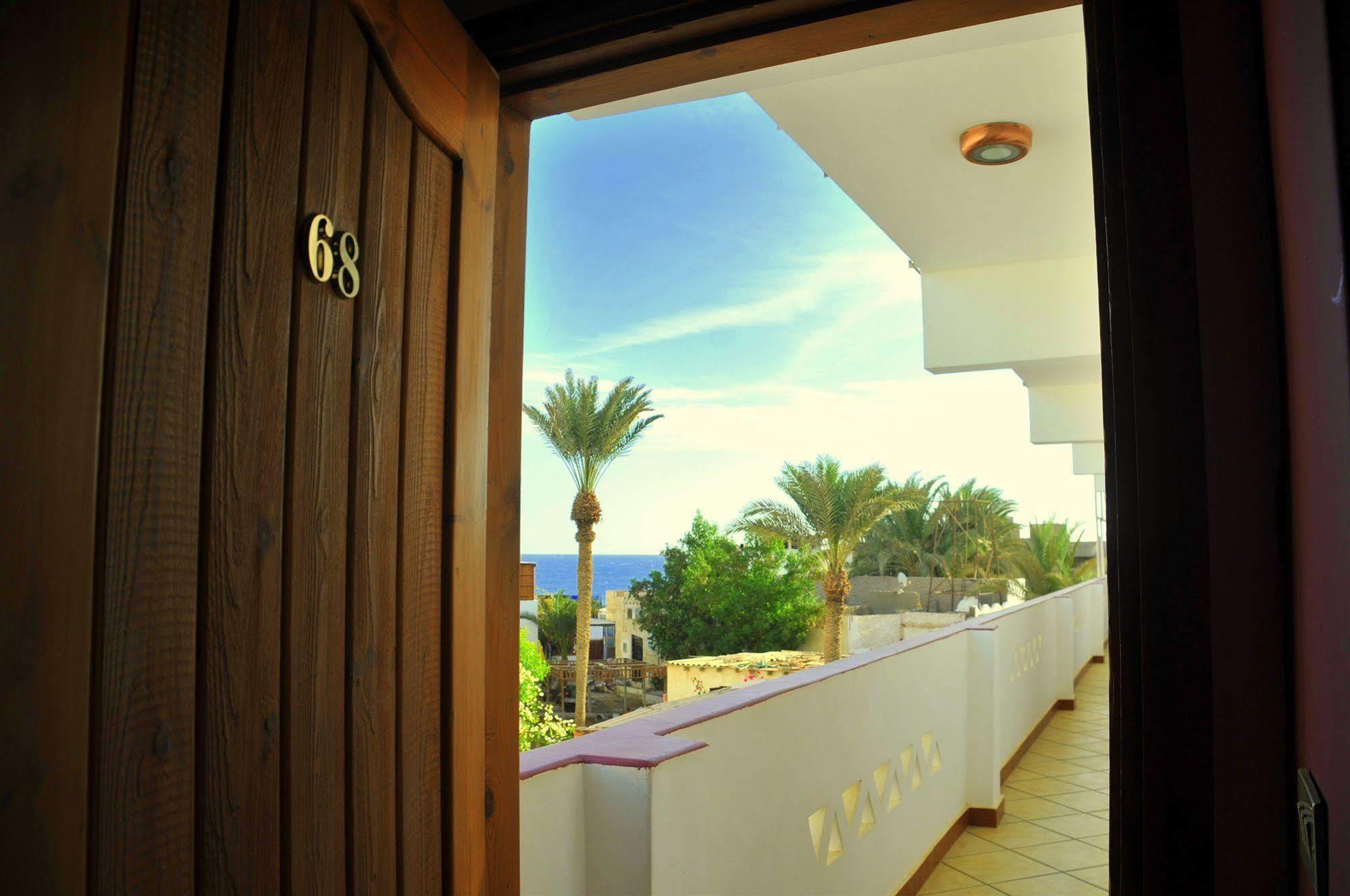 Dahab Divers Ngoại thất bức ảnh