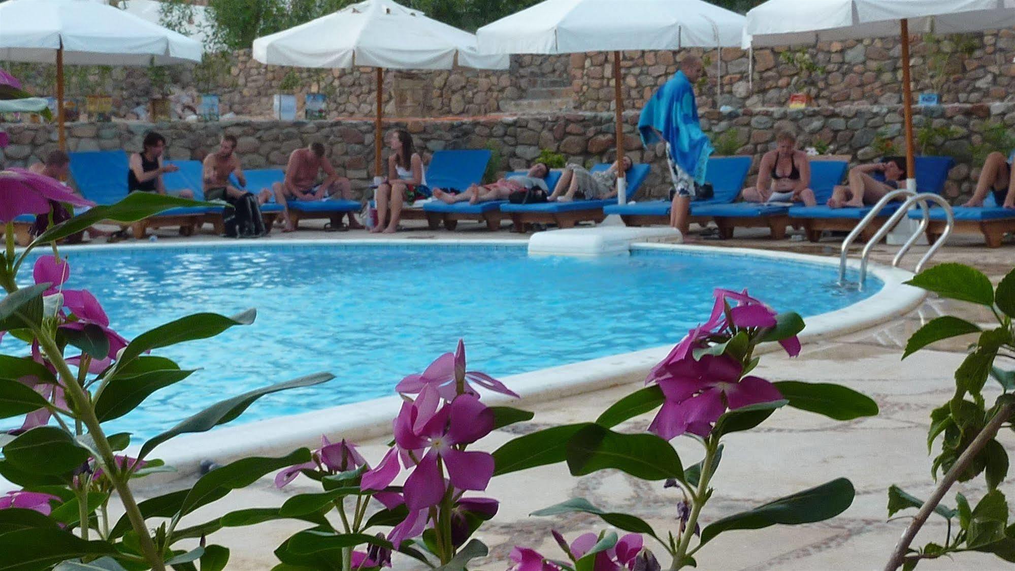 Dahab Divers Ngoại thất bức ảnh