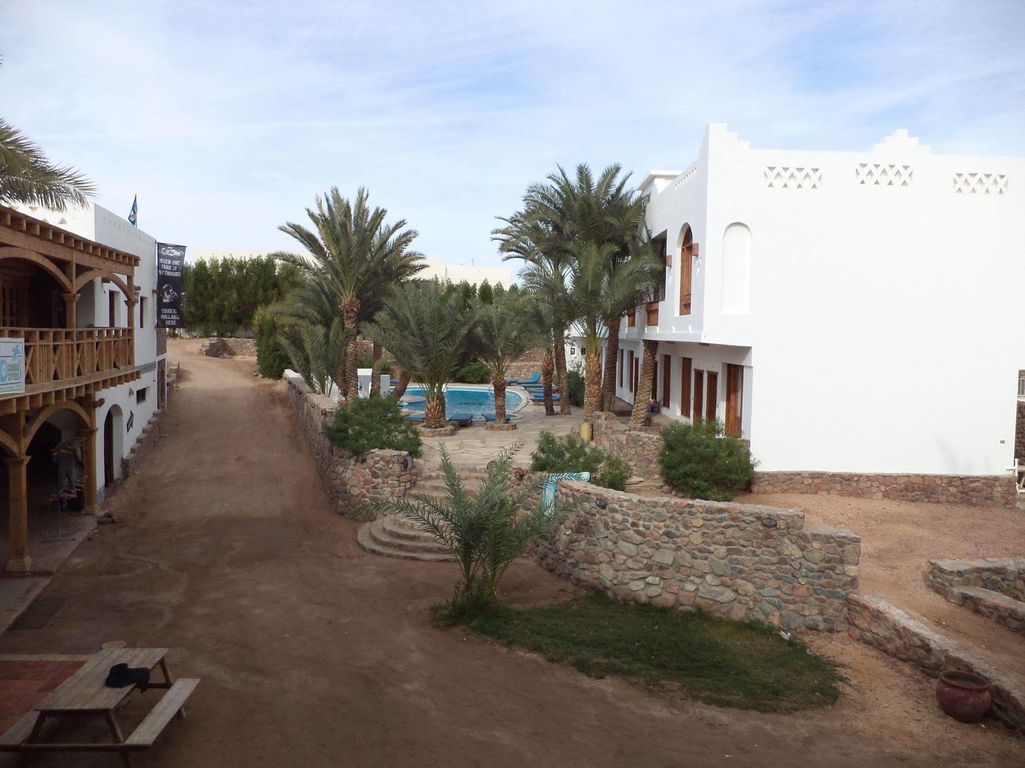 Dahab Divers Ngoại thất bức ảnh